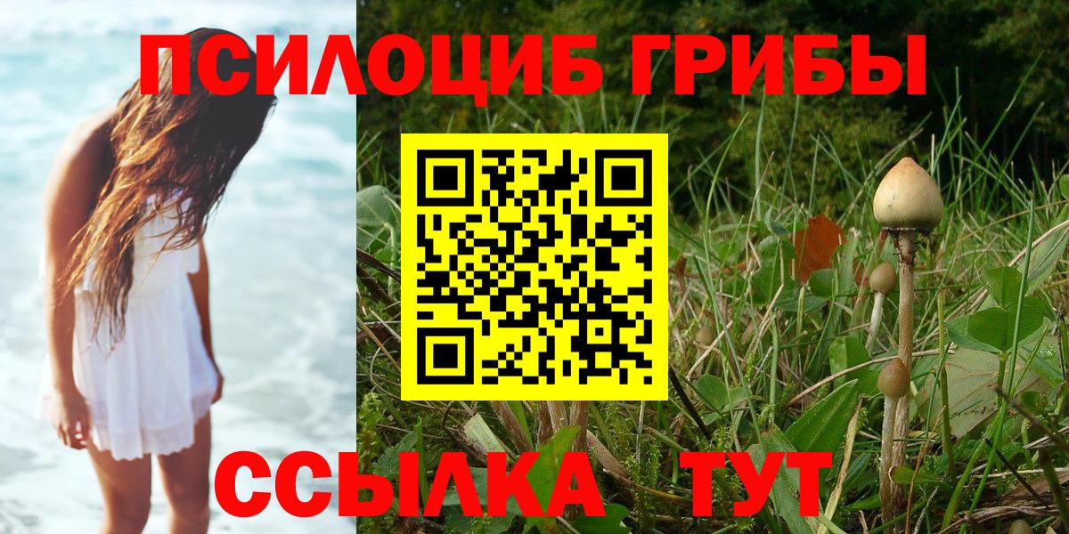 Бугуруслан  Псилоцибиновые грибы Magic Shrooms  Вход с VPN 